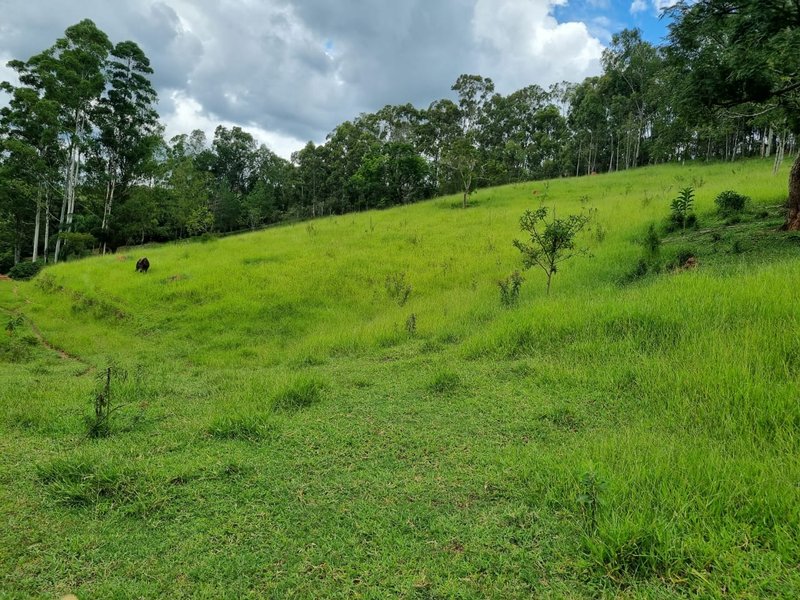 SITIO COM 16 HECTARES EM LAGOINHA SP - LAGOINHA - 