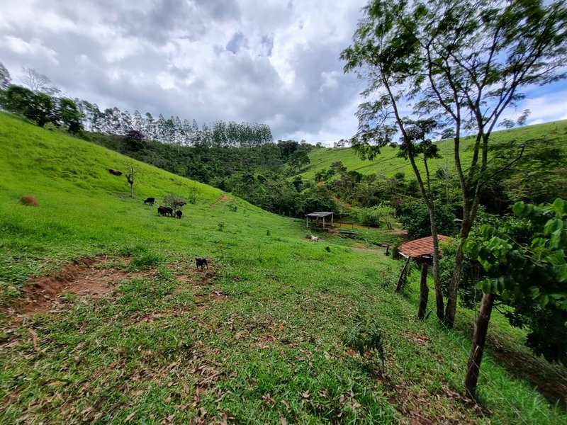 SITIO COM 16 HECTARES EM LAGOINHA SP - LAGOINHA - 