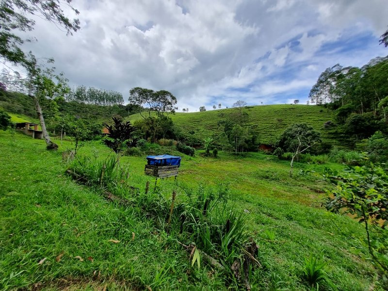 SITIO COM 16 HECTARES EM LAGOINHA SP - LAGOINHA - 