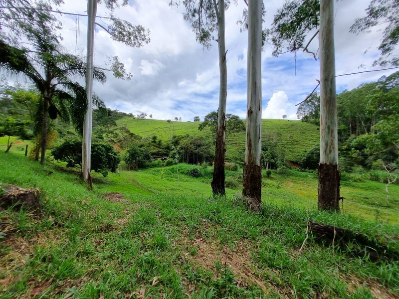 SITIO COM 16 HECTARES EM LAGOINHA SP - LAGOINHA - 