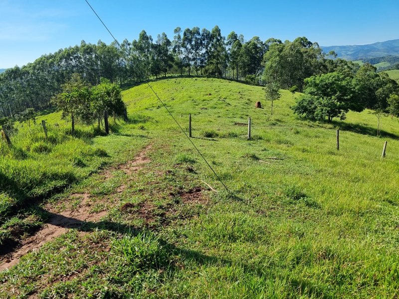 SITIO COM 16 HECTARES EM LAGOINHA SP - LAGOINHA - 