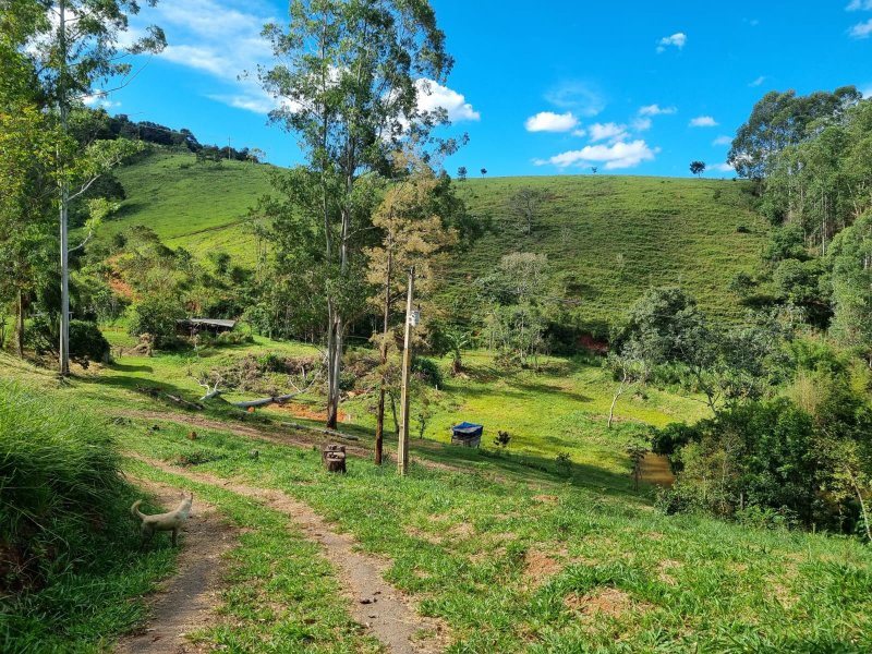 SITIO COM 16 HECTARES EM LAGOINHA SP - LAGOINHA - 