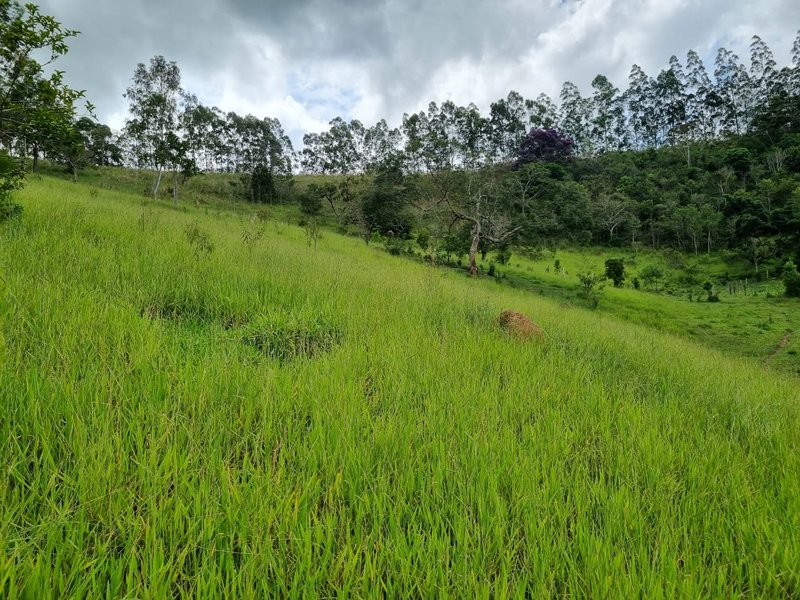 SITIO COM 16 HECTARES EM LAGOINHA SP - LAGOINHA - 