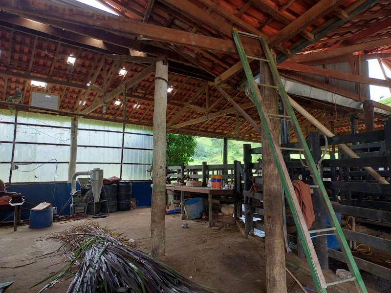 SITIO COM 12.4 ALQUEIRES EM CUNHA SP - Cunha - 