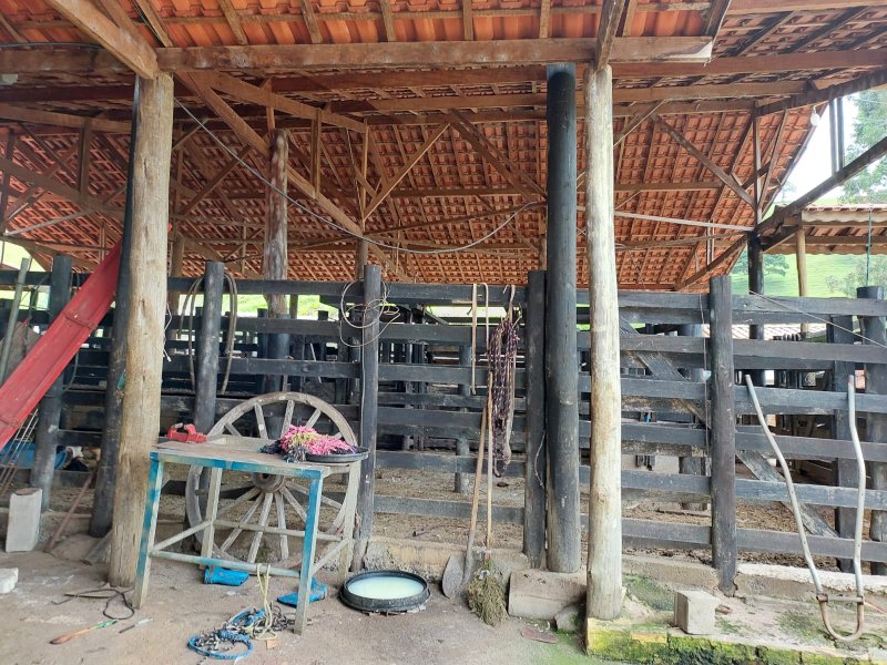 SITIO COM 12.4 ALQUEIRES EM CUNHA SP - Cunha - 