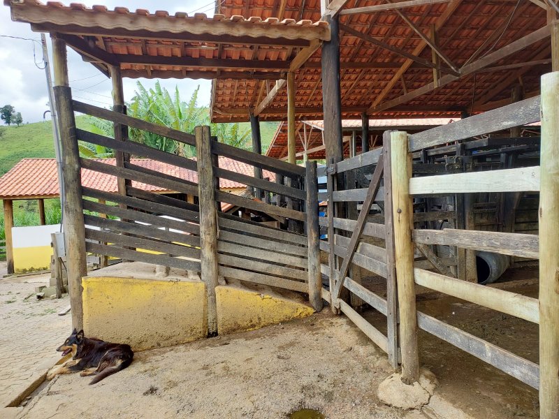 SITIO COM 12.4 ALQUEIRES EM CUNHA SP - Cunha - 