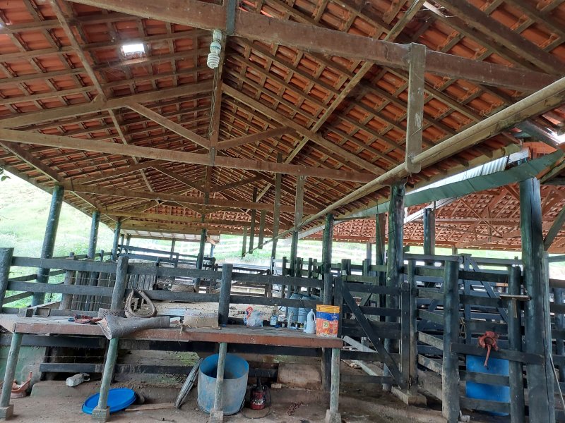 SITIO COM 12.4 ALQUEIRES EM CUNHA SP - Cunha - 