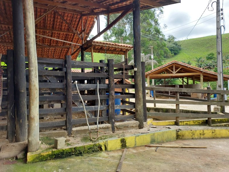 SITIO COM 12.4 ALQUEIRES EM CUNHA SP - Cunha - 