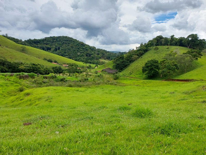 SITIO COM 12.4 ALQUEIRES EM CUNHA SP - Cunha - 