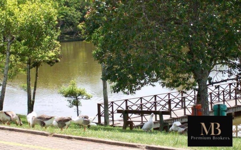 PARAGEM DOS VERDES CAMPOS - MARAVILHOSA CASA - ALTO PADRÃO - 260M2 - 4 SUÍTES Estrada Lomba do Vadeco Gravataí - 