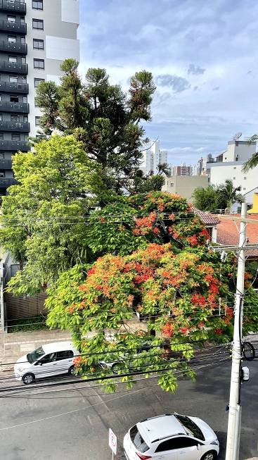 R$ 490.000 - EXCELENTE APARTAMENTO - FRENTE E LATERAL - 51M2 - 1 DORM - 1 VAGA - Porto Alegre - 