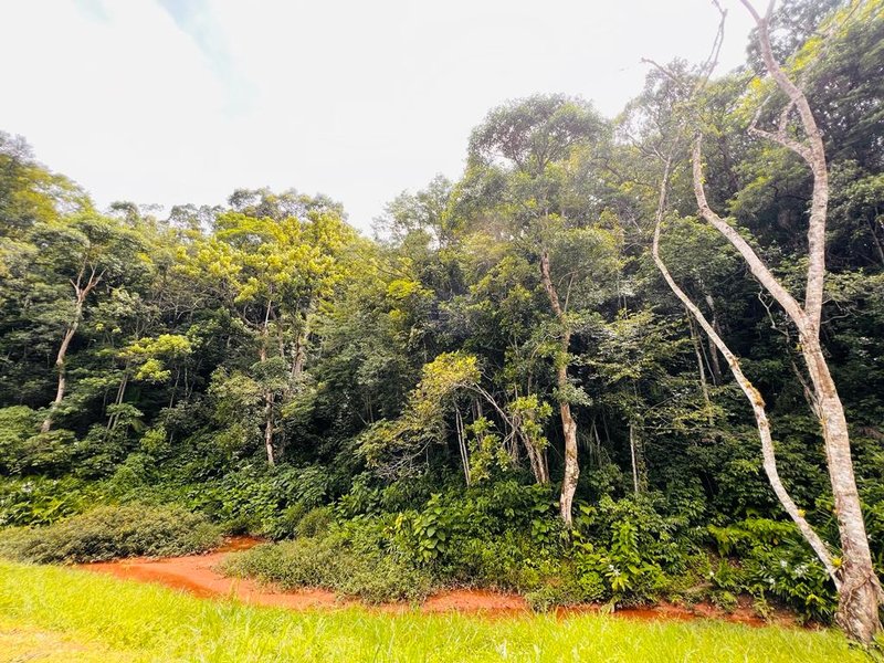 CHACARA COM 1.000 METROS EM SAO JOSE DOS CAMPOS SP - São José dos Campos - 