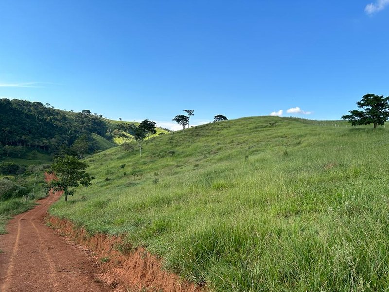 AREAS COM 20.000 METROS EM JAMBEIRO SP - JAMBEIRO - 