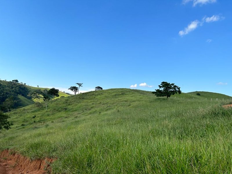 AREAS COM 20.000 METROS EM JAMBEIRO SP - JAMBEIRO - 