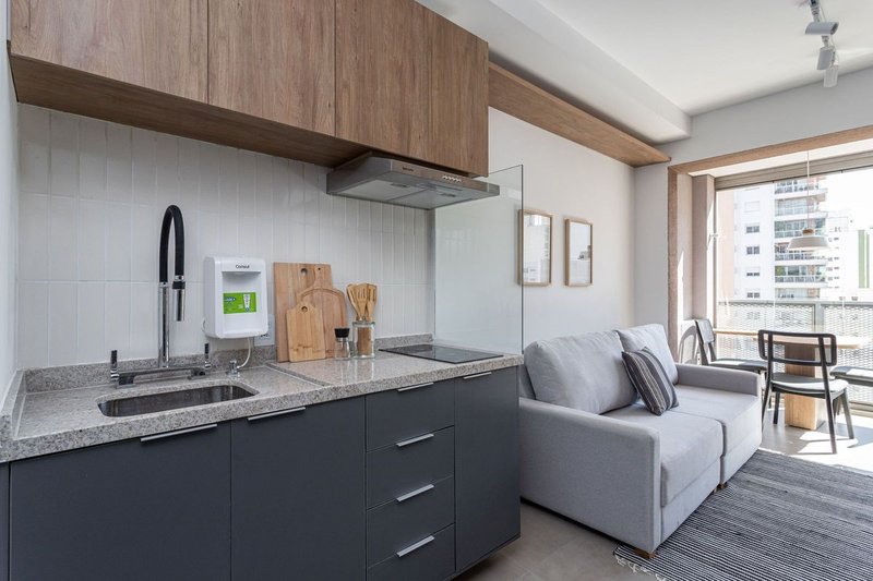 Apartamento de 38m², 1 quarto em Pinheiros Rua Alves Guimarães São Paulo - 