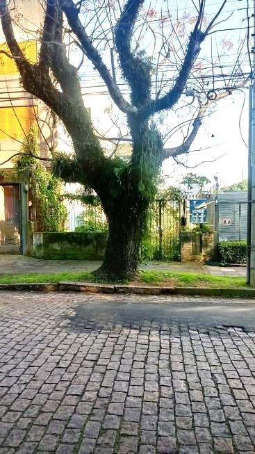 R$ 315.000 - TERRENO - 206m2 - ÁREA RESIDENCIAL E COMERCIAL - Porto Alegre - 