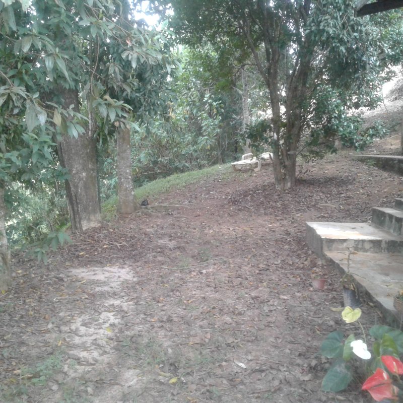 CHACARA COM 4.500 METROS NO CONDOMINIO RECANTO DOS PASSAROS EM JACAREI SP - Jacareí - 