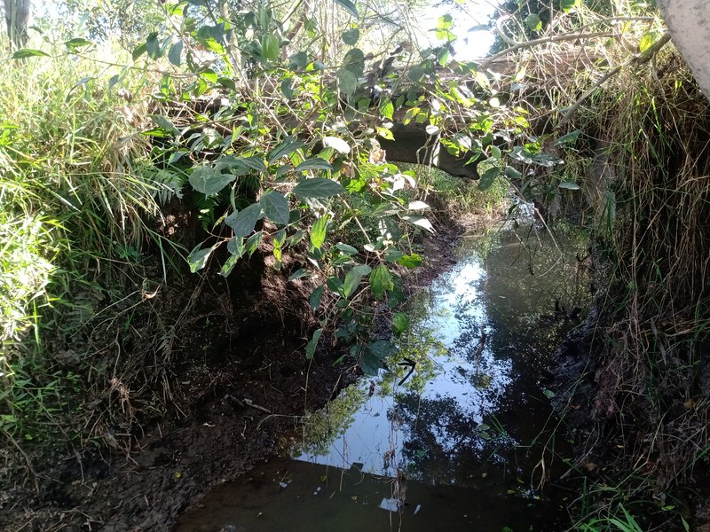 SITIO COM 5 ALQUEIRES EM CAÇAPAVA SP - Caçapava - 