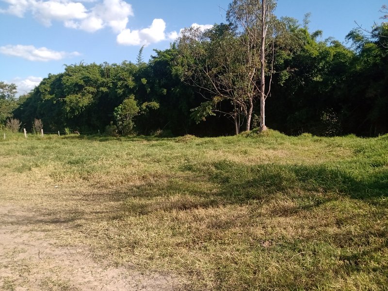SITIO COM 5 ALQUEIRES EM CAÇAPAVA SP - Caçapava - 