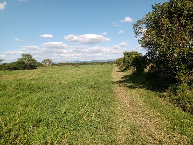 SITIO COM 5 ALQUEIRES EM CAÇAPAVA SP - Caçapava - 