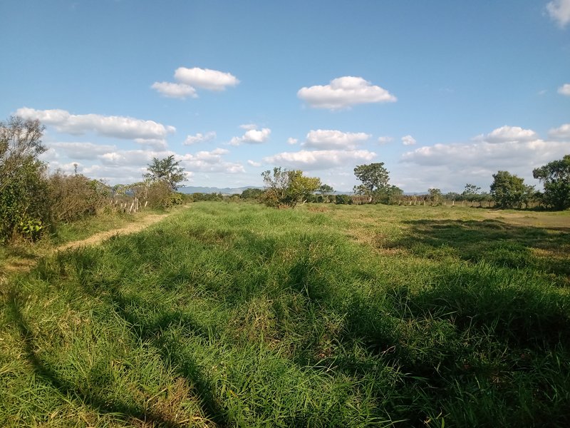 SITIO COM 5 ALQUEIRES EM CAÇAPAVA SP - Caçapava - 