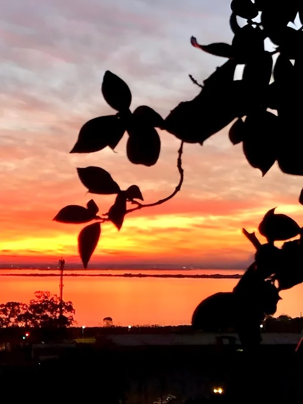 R$ 1.490.000 - ANDAR ALTO - ENCOSTA DO POENTE - 321M2 - 3 DORM - SUÍTE - PISCINA - 2 VAGAS Rua Monroe Porto Alegre - 