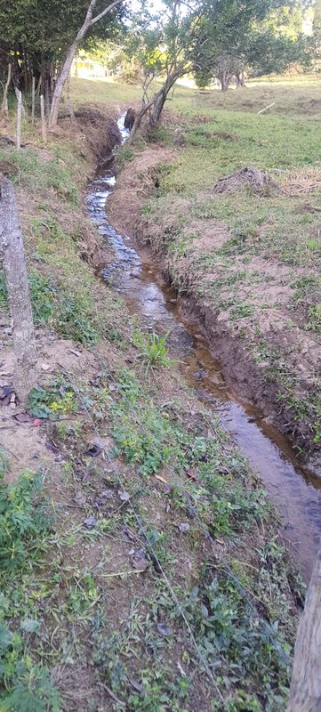 CHÁCARA COM 5.000 METROS EM LAGOINHA/SÃO PAULO - LAGOINHA - 