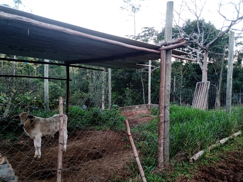 SITIO COM 4 ALQUEIRES EM PARAIBUNA SP - Paraibuna - 