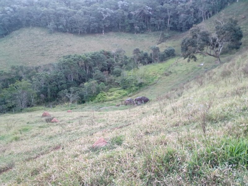 SITIO COM 4 ALQUEIRES EM PARAIBUNA SP - Paraibuna - 
