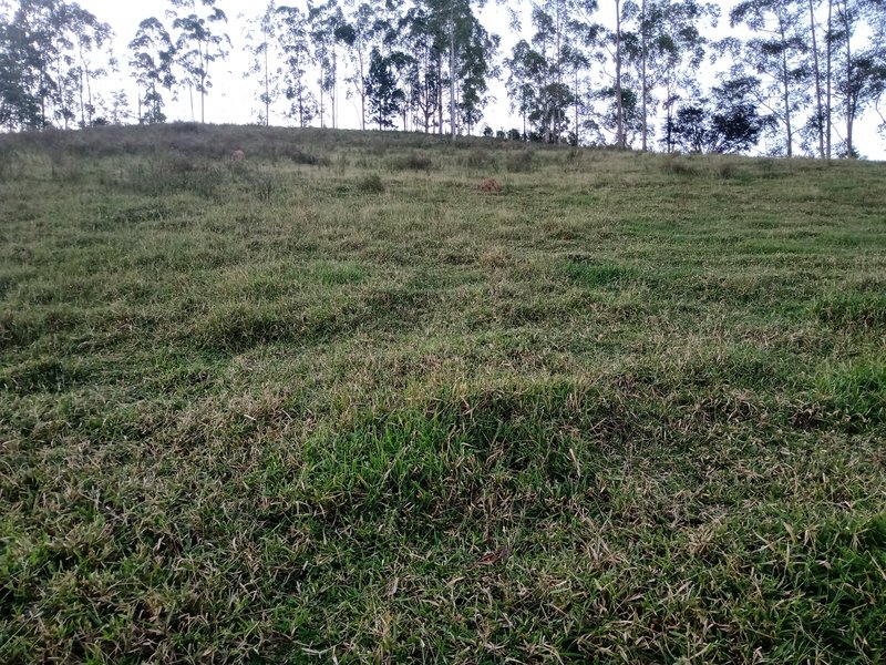 SITIO COM 4 ALQUEIRES EM PARAIBUNA SP - Paraibuna - 