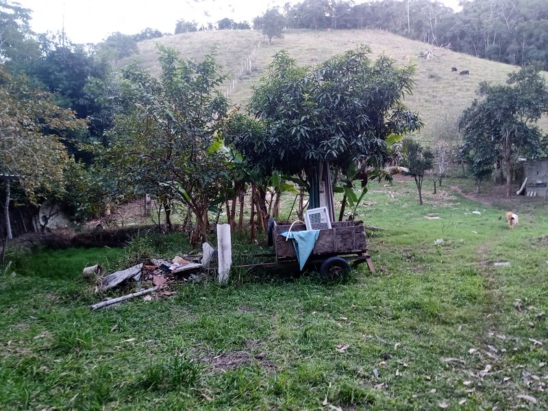 SITIO COM 4 ALQUEIRES EM PARAIBUNA SP - Paraibuna - 