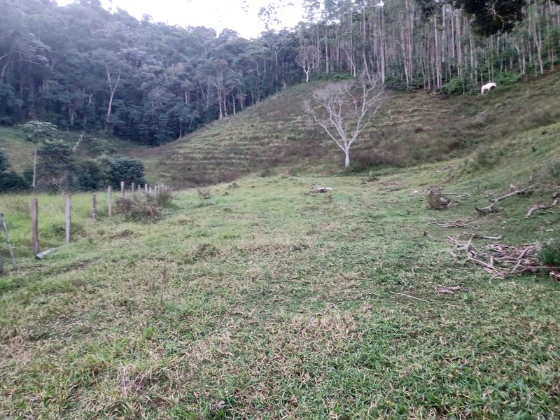 SITIO COM 4 ALQUEIRES EM PARAIBUNA SP - Paraibuna - 