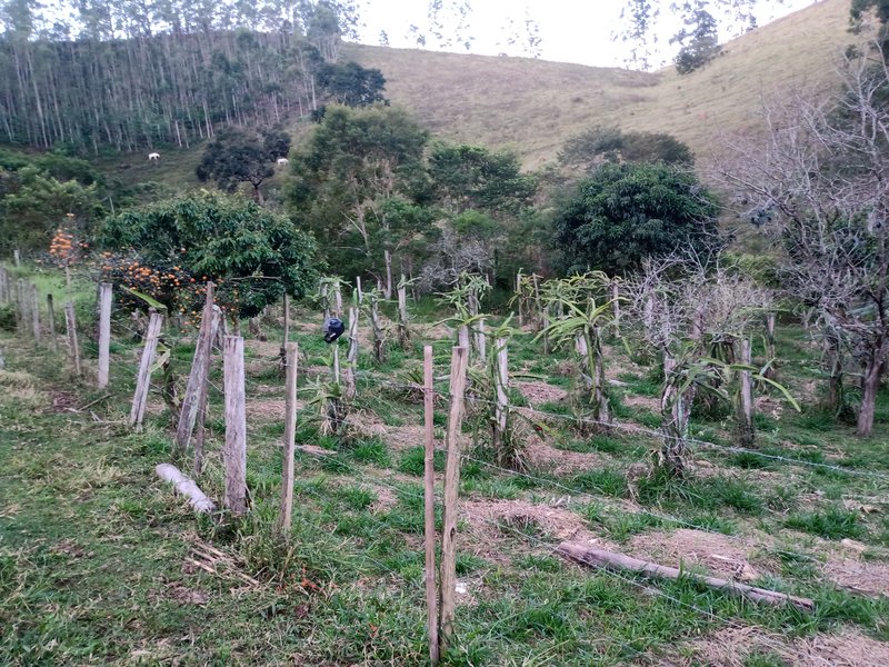 SITIO COM 4 ALQUEIRES EM PARAIBUNA SP - Paraibuna - 