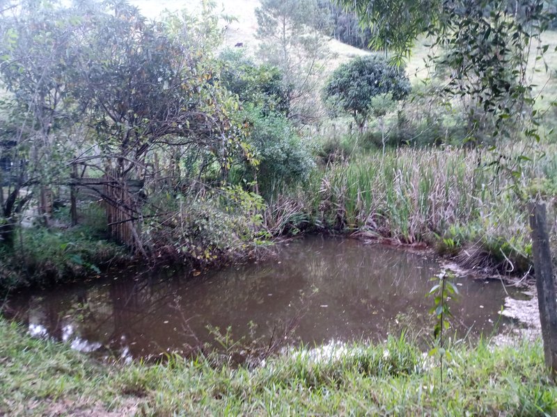 SITIO COM 4 ALQUEIRES EM PARAIBUNA SP - Paraibuna - 