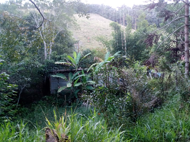 SITIO COM 4 ALQUEIRES EM PARAIBUNA SP - Paraibuna - 