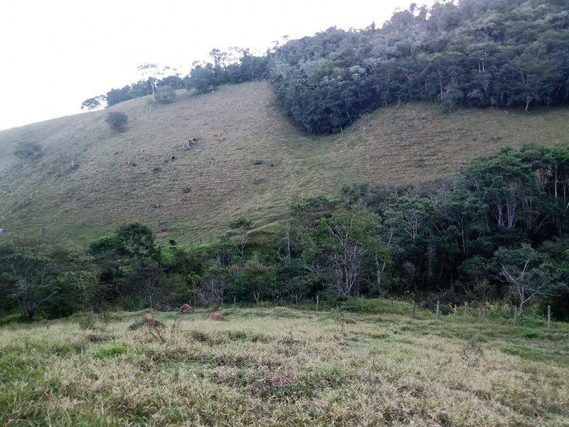 SITIO COM 4 ALQUEIRES EM PARAIBUNA SP - Paraibuna - 