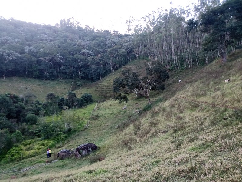 SITIO COM 4 ALQUEIRES EM PARAIBUNA SP - Paraibuna - 