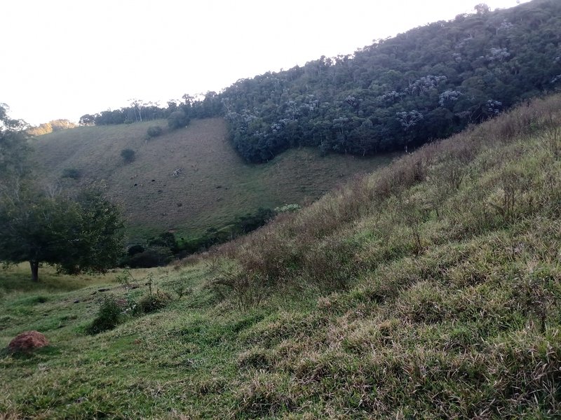 SITIO COM 4 ALQUEIRES EM PARAIBUNA SP - Paraibuna - 