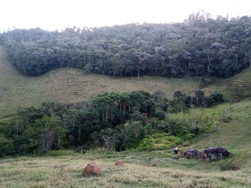 SITIO COM 4 ALQUEIRES EM PARAIBUNA SP - Paraibuna - 