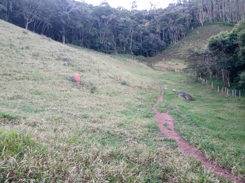 SITIO COM 4 ALQUEIRES EM PARAIBUNA SP - Paraibuna - 