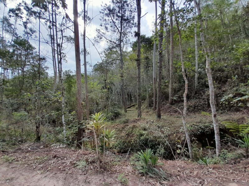 SITIO COM 66.400 METROS EM NATIVIDADE DA SERRA SP - NATIVIDADE DA SERRA - 
