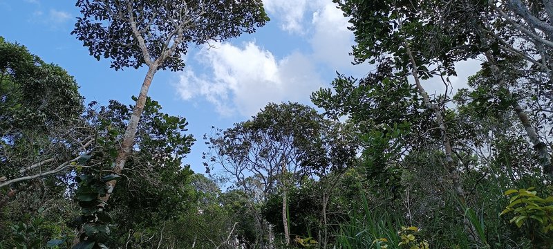 Terreno Lagoa Azul - Arraial D´ajuda Pedra Azul  Porto Seguro - 