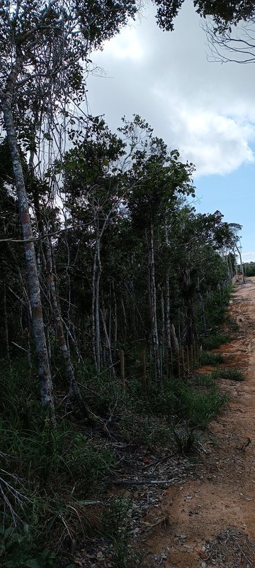 Terreno Lagoa Azul - Arraial D´ajuda Pedra Azul  Porto Seguro - 