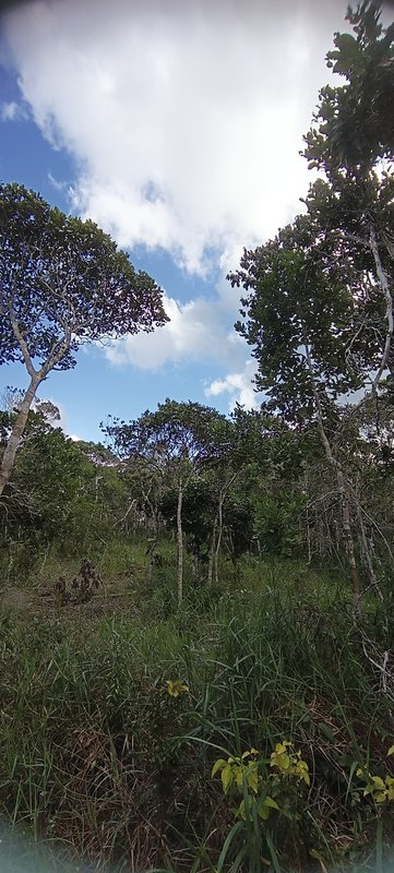 Terreno Lagoa Azul - Arraial D´ajuda Pedra Azul  Porto Seguro - 