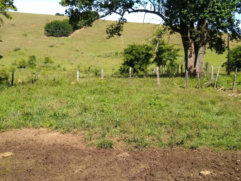 FAZENDA COM 81 ALQUEIRES EM CRUZEIRO SP - CRUZEIRO - 