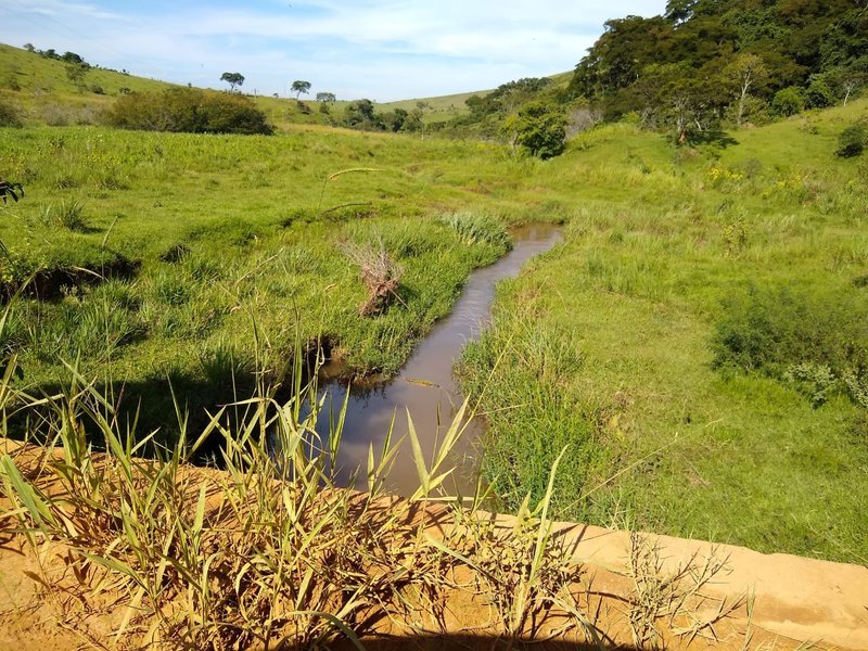 FAZENDA COM 81 ALQUEIRES EM CRUZEIRO SP - CRUZEIRO - 