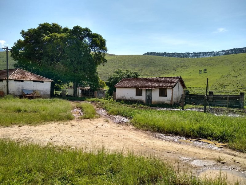 FAZENDA COM 81 ALQUEIRES EM CRUZEIRO SP - CRUZEIRO - 