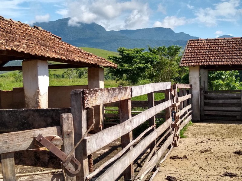 FAZENDA COM 81 ALQUEIRES EM CRUZEIRO SP - CRUZEIRO - 