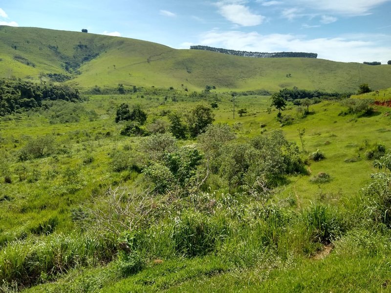 FAZENDA COM 81 ALQUEIRES EM CRUZEIRO SP - CRUZEIRO - 