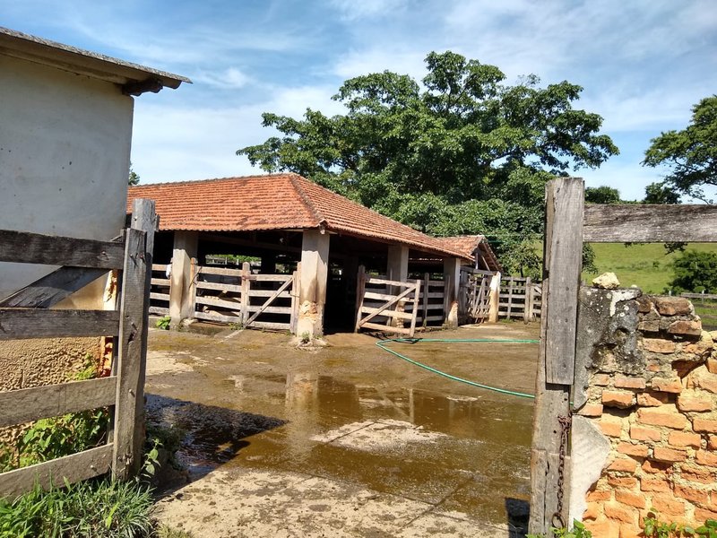 FAZENDA COM 81 ALQUEIRES EM CRUZEIRO SP - CRUZEIRO - 